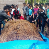 Mahasiswa Unsyiah Ciptakan Teknologi Budidaya Jamur Modern